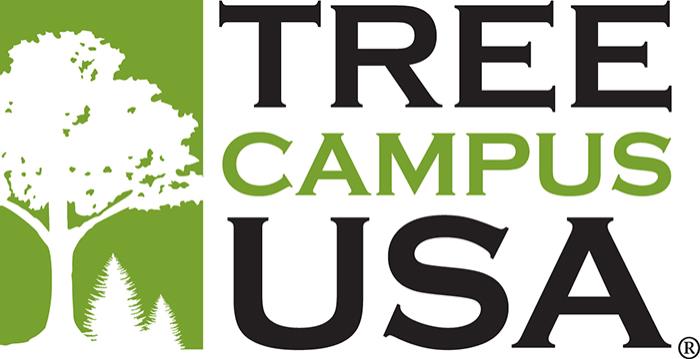 TreeCampus_USAonline.jpg 