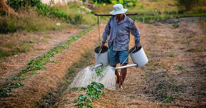 agriculturewatering.jpg 