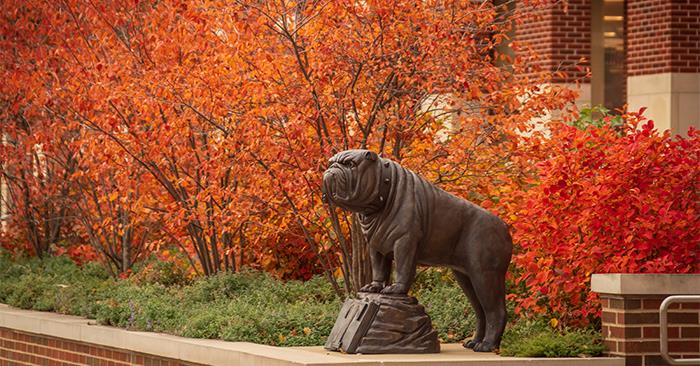 bulldogstatue1022.jpg 