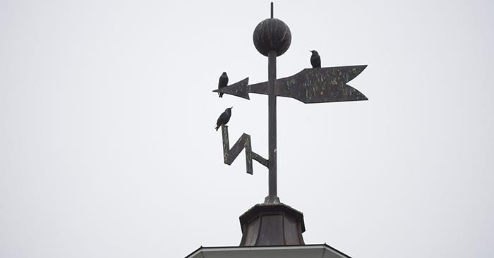 stockweathervane4.jpg 