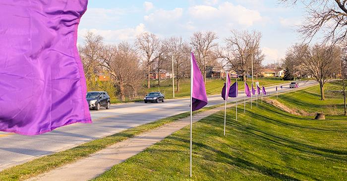 Alumni Chapter Seeks Help With Purple Flags