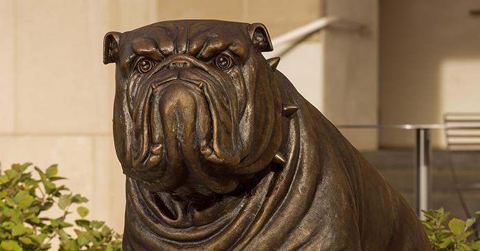 bulldogstatue1018.jpg 