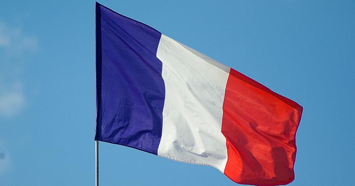 frenchflag.jpg 