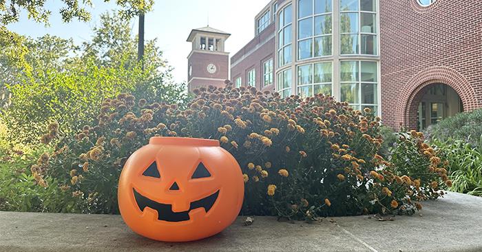 pumpkinoncampus1024.jpg 