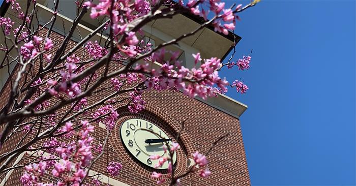 stockclocktowerpinkflowers.jpg 