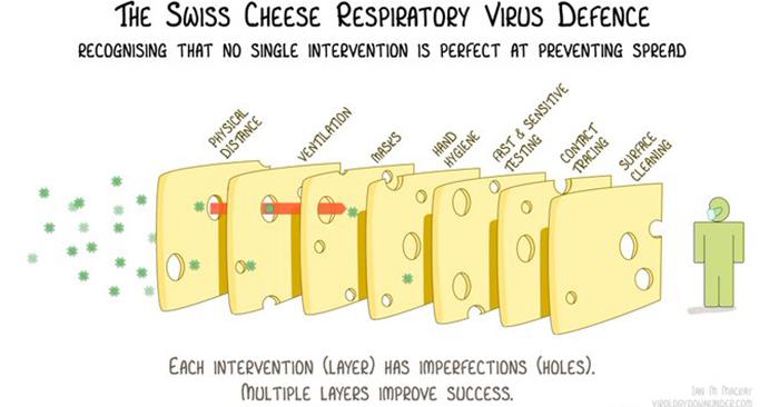 swisscheesecovid.jpg 